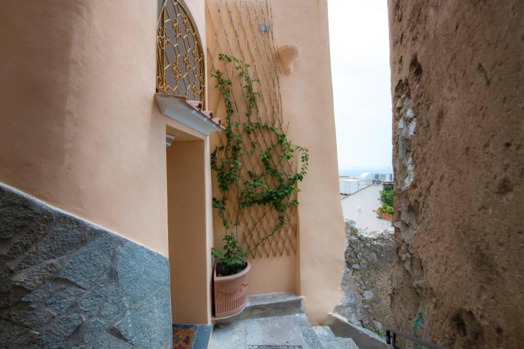 Il Giardino Dei Limoni Villa Positano Exterior foto